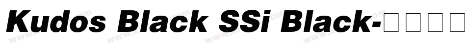 Kudos Black SSi Black字体转换